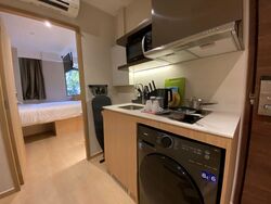 Mount Elizabeth Link (D9), Condominium #466085411